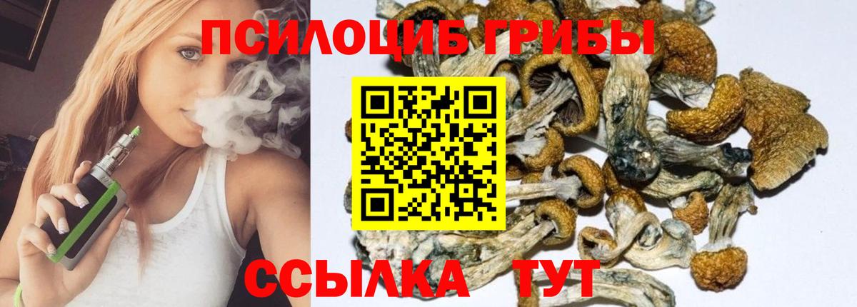 Коряжма  Галлюциногенные грибы мухоморы  Вход с VPN 